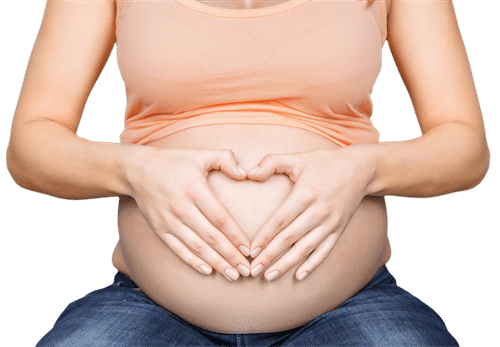  Fertilität - Fruchtbarkeit
